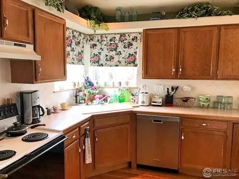 1226 Walnut St, Windsor, CO 80550 photo 13