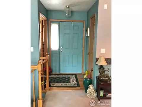 1226 Walnut St, Windsor, CO 80550 photo 8