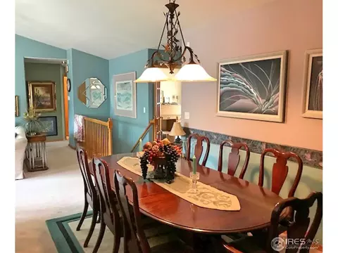 1226 Walnut St, Windsor, CO 80550 photo 10