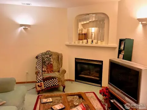 1226 Walnut St, Windsor, CO 80550 photo 22
