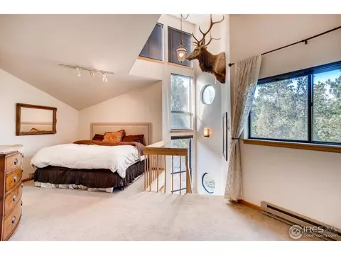 737 Hickory Dr, Lyons, CO 80540 photo 8