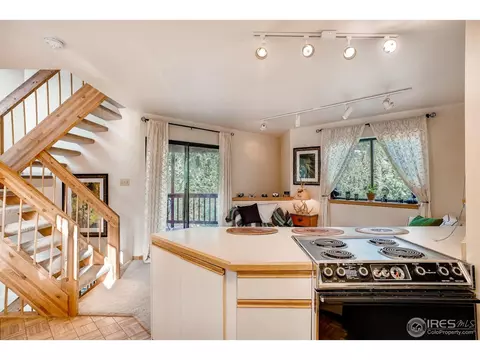 737 Hickory Dr, Lyons, CO 80540 photo 5