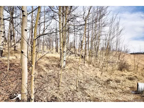 663 Arrowhead Dr, Como, CO 80432 photo 6