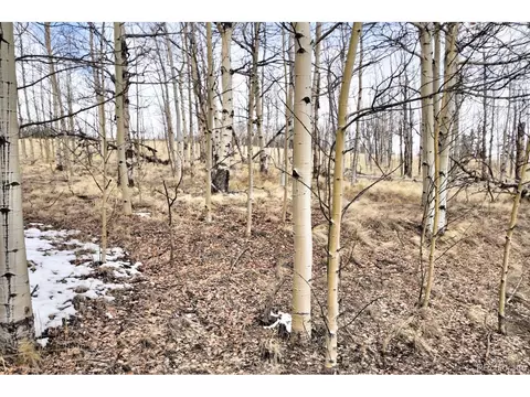 663 Arrowhead Dr, Como, CO 80432 photo 5