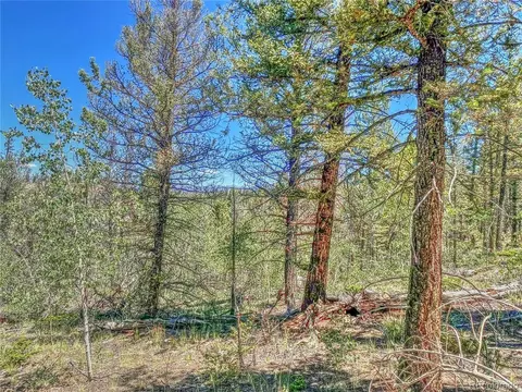 185 Chippewa Ct, Como, CO 80432 photo 12