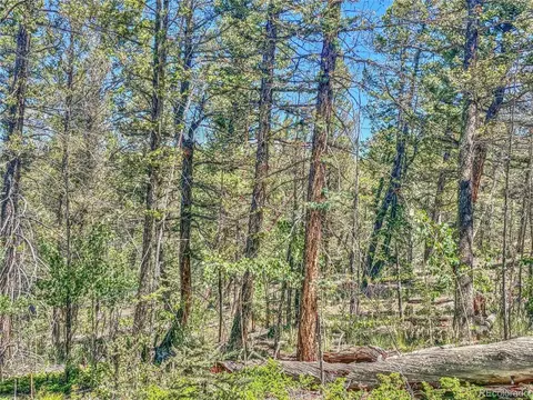 185 Chippewa Ct, Como, CO 80432 photo 24
