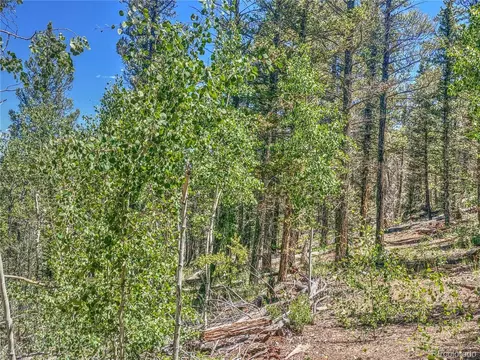 185 Chippewa Ct, Como, CO 80432 photo 15