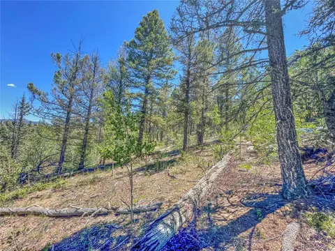 185 Chippewa Ct, Como, CO 80432 photo 9
