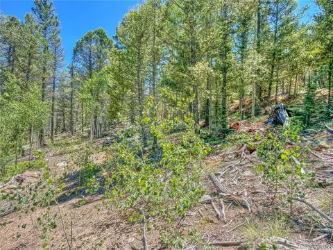 185 Chippewa Ct, Como, CO 80432 photo 2