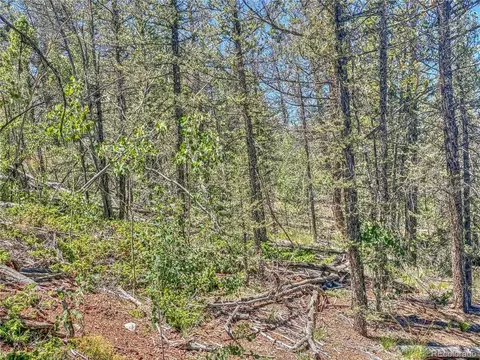 185 Chippewa Ct, Como, CO 80432 photo 23