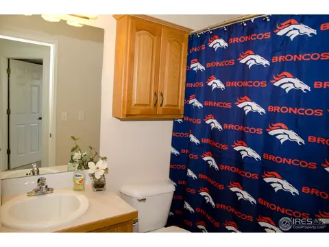 1112 Valley Dr, Windsor, CO 80550 photo 16