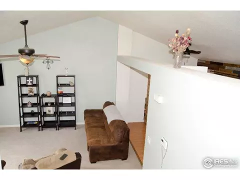 1112 Valley Dr, Windsor, CO 80550 photo 3