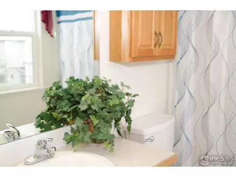 1112 Valley Dr, Windsor, CO 80550 photo 13