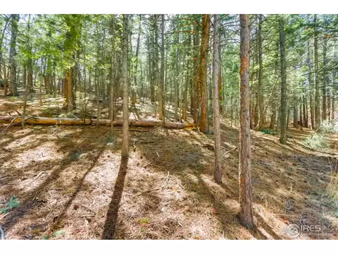 30 Spring Ln, Boulder, CO 80302 photo 24