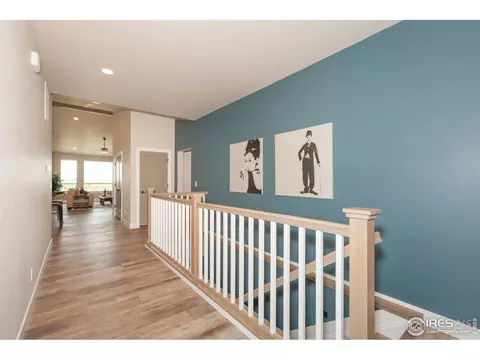 211 Silo Ct, Severance, CO 80550 photo 4