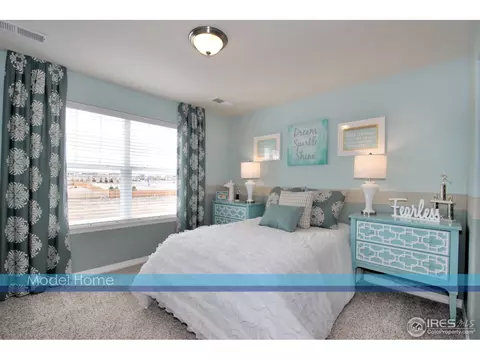 2856 E 163rd Ave, Thornton, CO 80602 photo 18