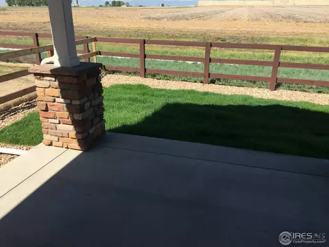 950 Tail Water Dr, Windsor, CO 80550 photo 3