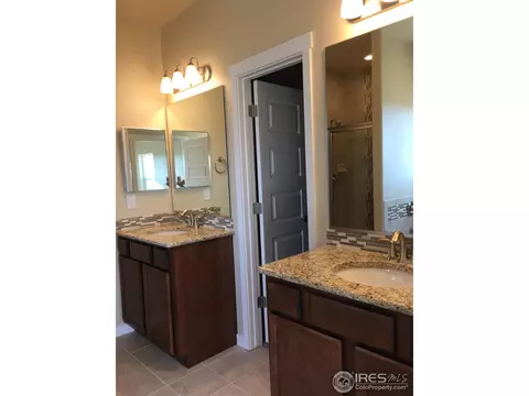 950 Tail Water Dr, Windsor, CO 80550 photo 8
