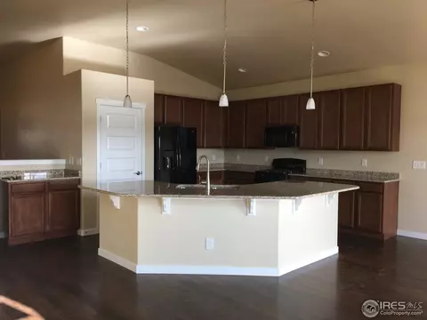 950 Tail Water Dr, Windsor, CO 80550 photo 4