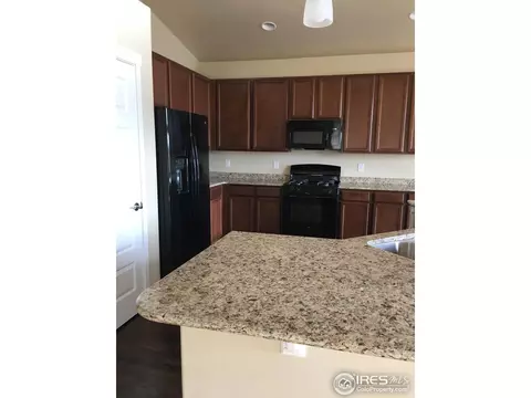 950 Tail Water Dr, Windsor, CO 80550 photo 6