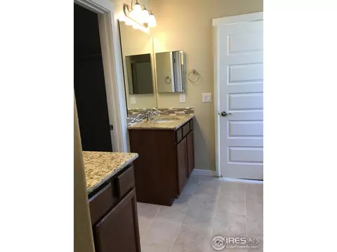950 Tail Water Dr, Windsor, CO 80550 photo 9