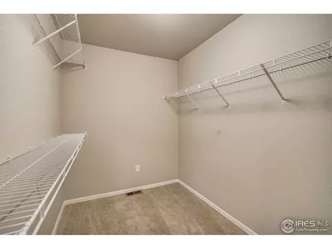 429 Ptarmigan St, Severance, CO 80550 photo 19