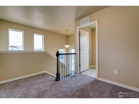 5670 Bexley Dr, Windsor, CO 80550 photo 9