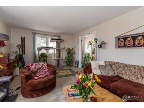 2415 Forest Ave, Boulder, CO 80304 photo 18