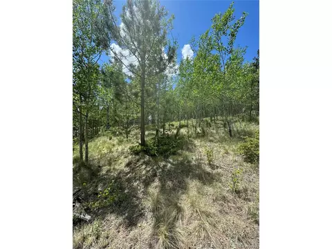 64 Rattler Way, Cripple Creek, CO 80813