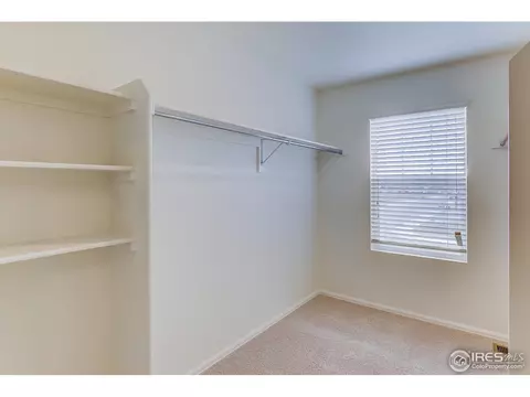 313 Jay Ave, Severance, CO 80550 photo 23
