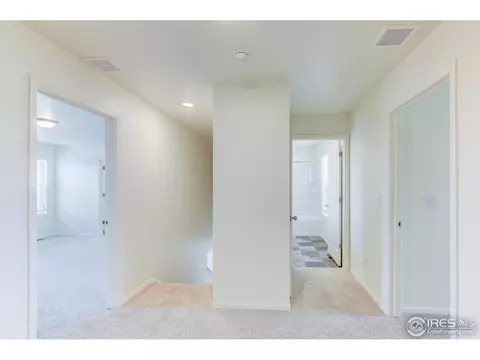 313 Jay Ave, Severance, CO 80550 photo 19