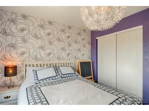 7395 Russell Cir, Frederick, CO 80504 photo 29