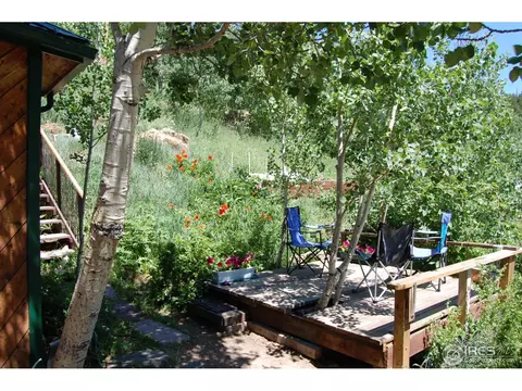 49 Modoc St, Ward, CO 80481 photo 20