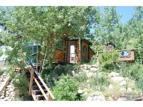 49 Modoc St, Ward, CO 80481 photo 18
