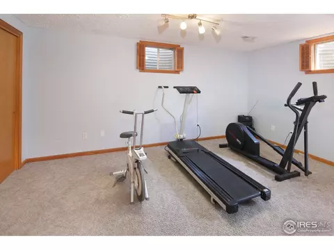 36918 Gaylin Ave, Windsor, CO 80550 photo 22