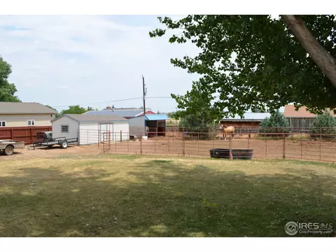 36918 Gaylin Ave, Windsor, CO 80550 photo 27
