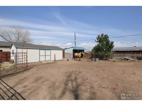 36918 Gaylin Ave, Windsor, CO 80550 photo 37