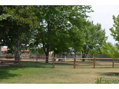 36918 Gaylin Ave, Windsor, CO 80550 photo 30