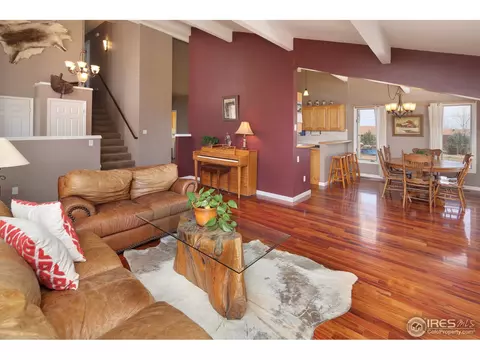 36918 Gaylin Ave, Windsor, CO 80550 photo 8