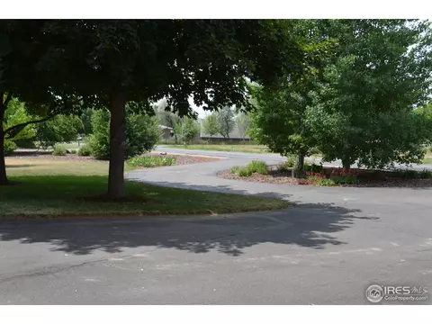 36918 Gaylin Ave, Windsor, CO 80550 photo 4