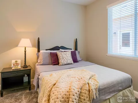 1914 Hillside Pl, Windsor, CO 80550 photo 19