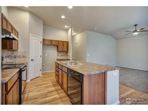 445 Ptarmigan St, Severance, CO 80550 photo 4