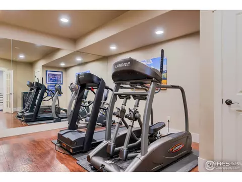 7388 Balcarrick Ct, Windsor, CO 80550 photo 29