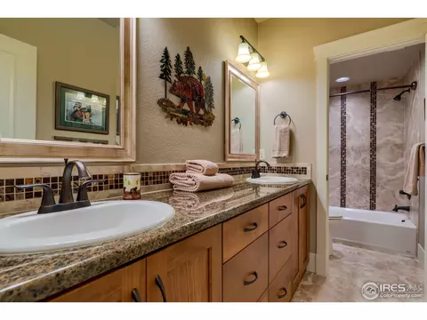 7388 Balcarrick Ct, Windsor, CO 80550 photo 27