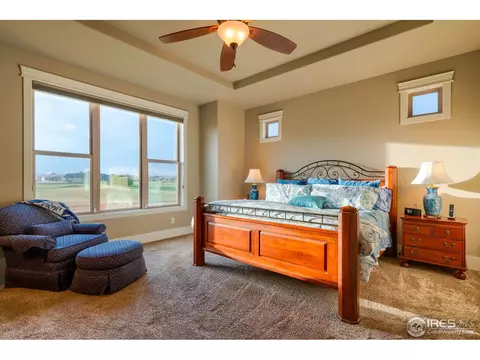 7388 Balcarrick Ct, Windsor, CO 80550 photo 18