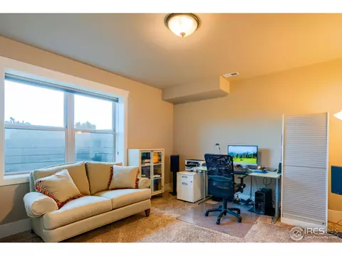 7388 Balcarrick Ct, Windsor, CO 80550 photo 28