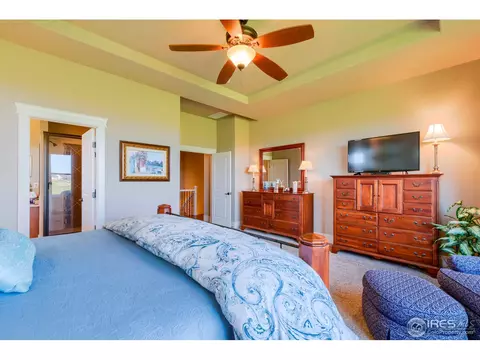 7388 Balcarrick Ct, Windsor, CO 80550 photo 19