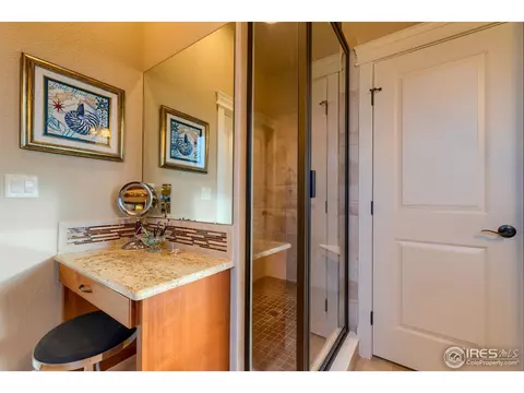 7388 Balcarrick Ct, Windsor, CO 80550 photo 21