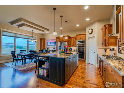 7388 Balcarrick Ct, Windsor, CO 80550 photo 10