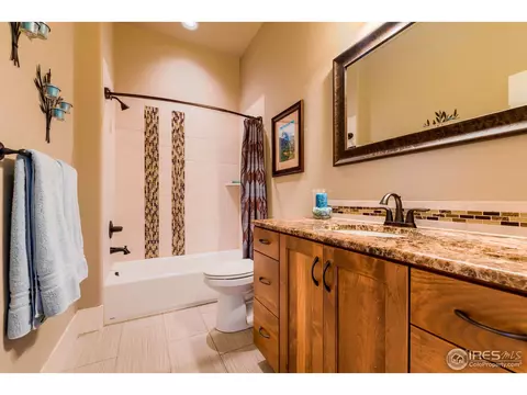 7388 Balcarrick Ct, Windsor, CO 80550 photo 17